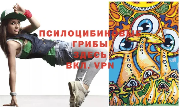 дживик Армянск
