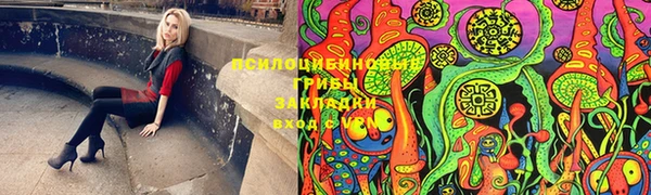 сатива Богородицк